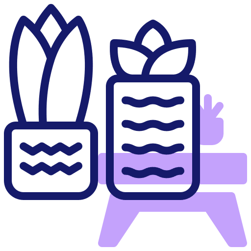 Plant plant succulent cactus icon Plant plant succulent cactus icon