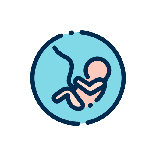 Fetus womb pregnant gestation icon