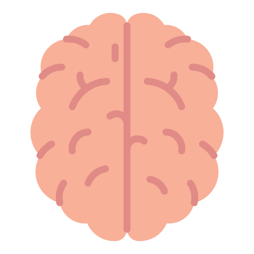 Brain brains brain healthcare and medical icon