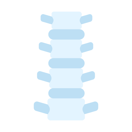 Spine healthcare and medical bones body parts icon