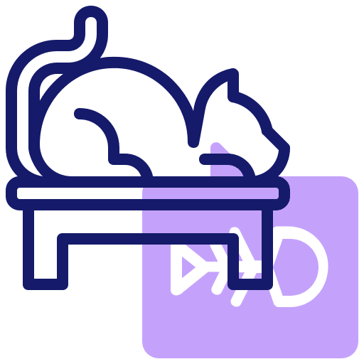 Cat table cat animals icon