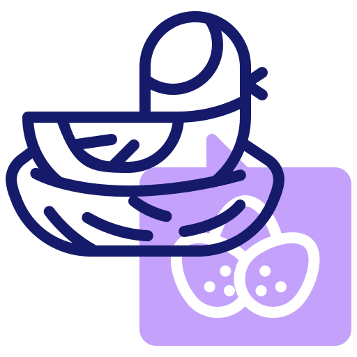 Nest nest bird eggs icon