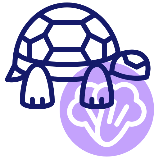 Tortoise tortoise turtle pet icon Tortoise tortoise turtle pet icon