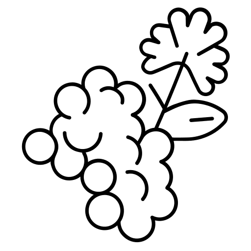 Coriander cooking additive spice icon