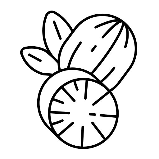 Nutmeg spice additive food icon