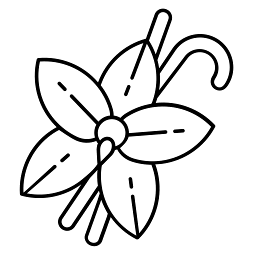 Vanilla food vanilla ingredient icon