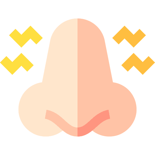 Congestion nose healthcare and medical allergy icon