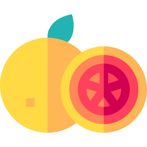 Grapefruit fruit diet grapefruit icon Grapefruit fruit diet grapefruit icon