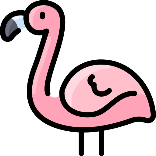 Flamingo bird flamingo animals icon