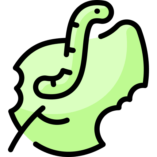 Carterpillar entomology animals leaf icon Carterpillar entomology animals leaf icon