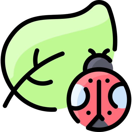 Bug animal kingdom ladybird nature icon Bug animal kingdom ladybird nature icon