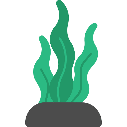 Alga aquatic marine ocean icon