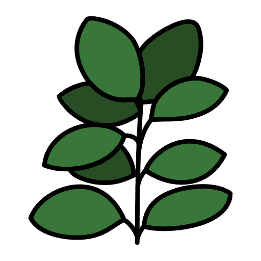 Ficus house plants pot ficus icon