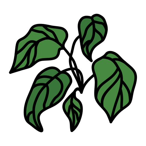 Leaf leaf nature pot icon