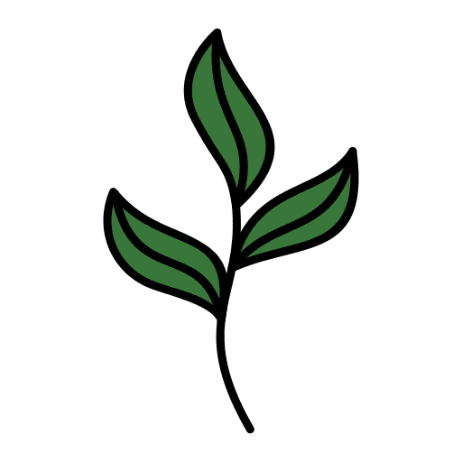 Leaves plants tropical nature icon