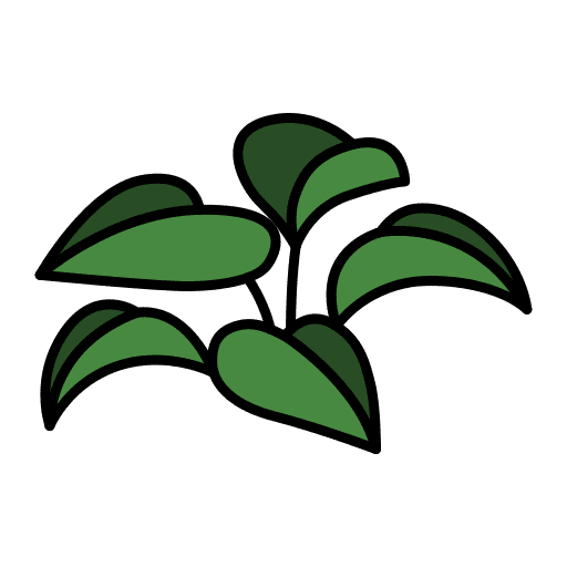 Rubber plant plant pot flora icon