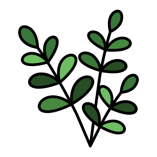 Willow plant floral leaf icon