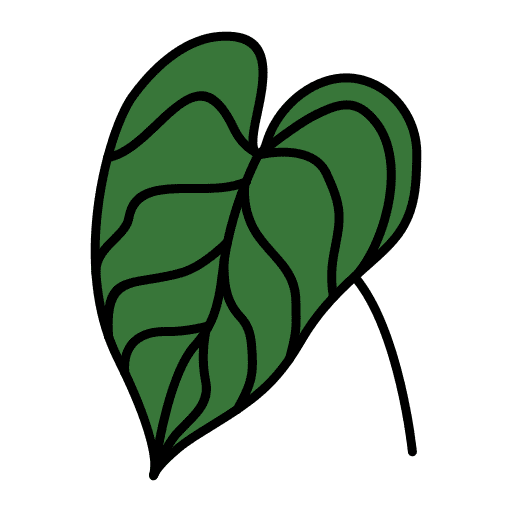 Alocasia plant nature leaf icon Alocasia plant nature leaf icon