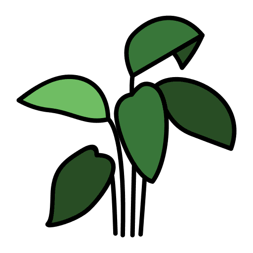 Dumb cane nature leaf house plants icon Dumb cane nature leaf house plants icon