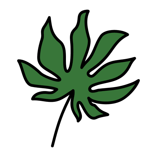 Ginkgo biloba leaf pot nature icon Ginkgo biloba leaf pot nature icon