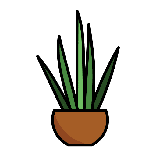 Aloe vera nature tropical house plants icon Aloe vera nature tropical house plants icon