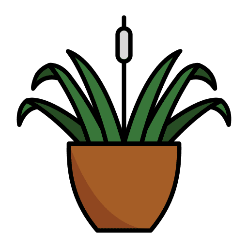 Grass tropical plant house plants icon Grass tropical plant house plants icon