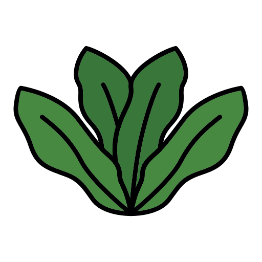 Leaf nature leaf plant icon Leaf nature leaf plant icon
