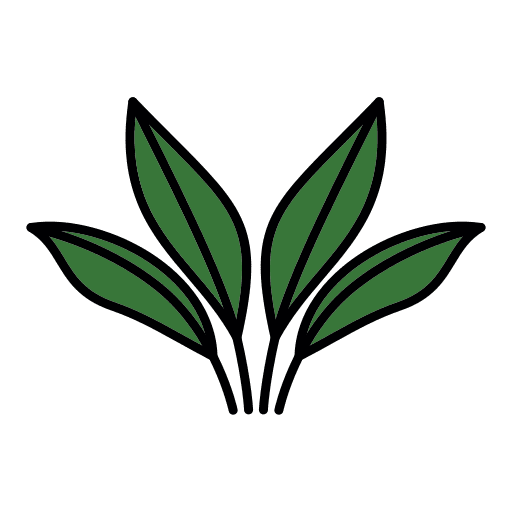 Philodendron house plants leaf plant icon Philodendron house plants leaf plant icon