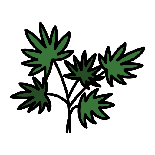 Plant plant pot plants icon Plant plant pot plants icon