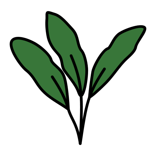 Strelitzia tropical house plants plants icon Strelitzia tropical house plants plants icon