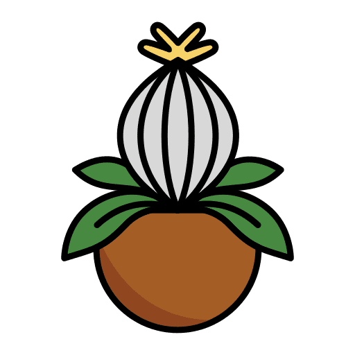 Succulent tropical floral succulent icon Succulent tropical floral succulent icon