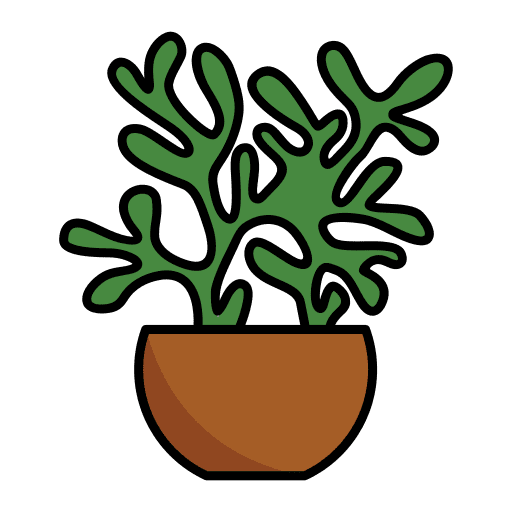 Cactus leaf tropical nature icon Cactus leaf tropical nature icon