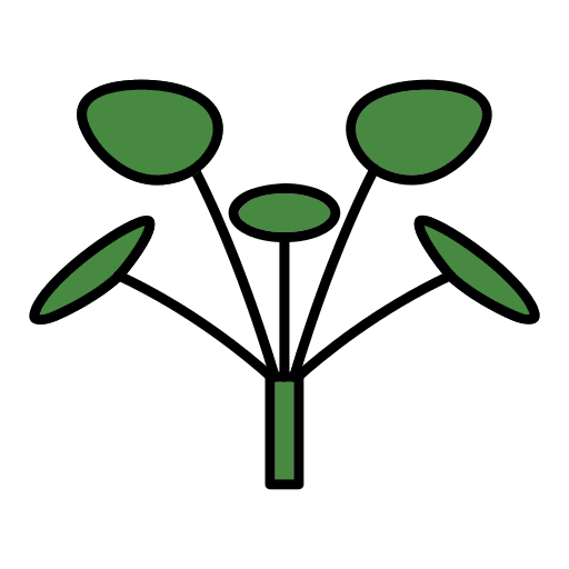 Chinese money plant flora house plants floral icon Chinese money plant flora house plants floral icon