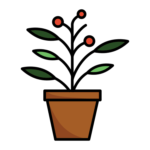 Wattle plants pot floral icon Wattle plants pot floral icon