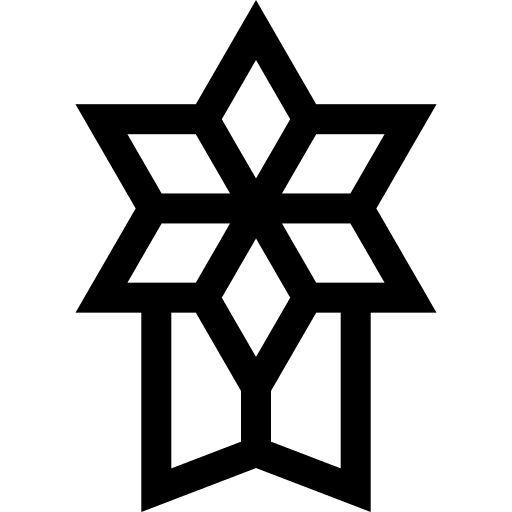 Medal contest star champion icon