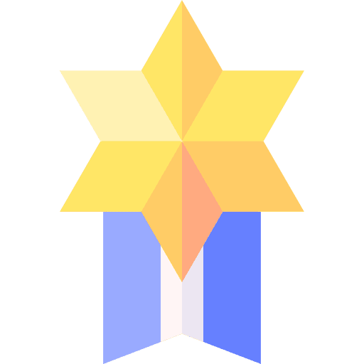 Medal champion contest star icon