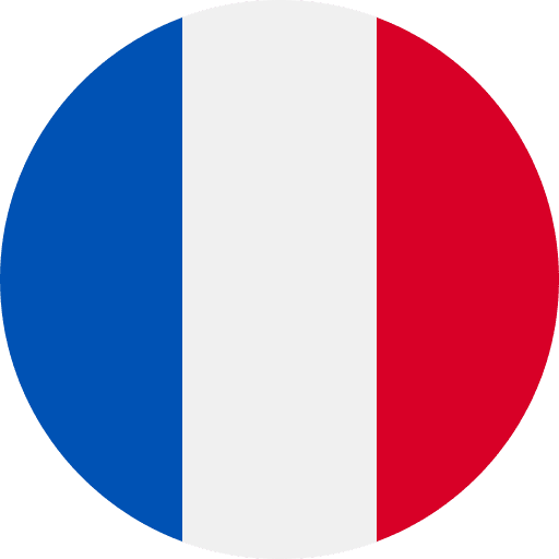 France flags country france icon France flags country france icon