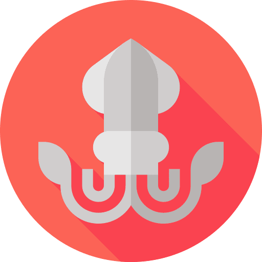 Squid cephalopod sea life animal kingdom icon