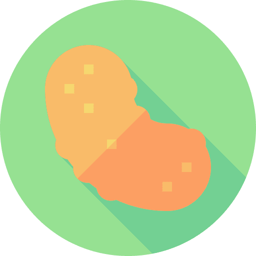 Sea cucumber sea life marine aquatic icon Sea cucumber sea life marine aquatic icon