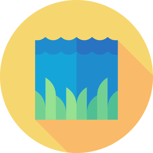Seagrass algae aquatic plant icon Seagrass algae aquatic plant icon