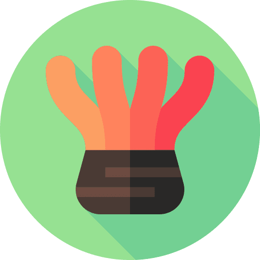 Anemone animals animal kingdom aquarium icon Anemone animals animal kingdom aquarium icon