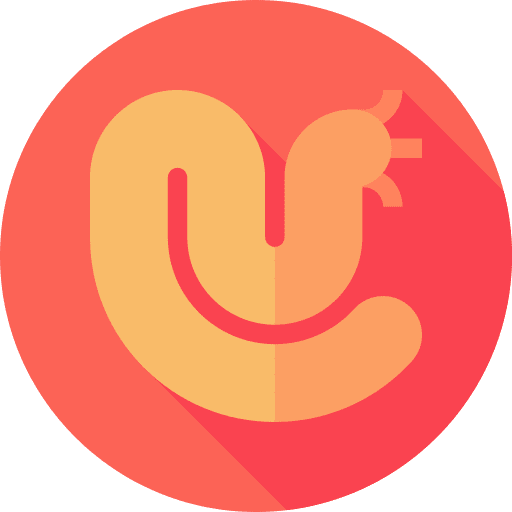 Sea worm animal kingdom sea life aquatic icon Sea worm animal kingdom sea life aquatic icon