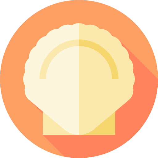 Seashell aquatic marine shell icon Seashell aquatic marine shell icon