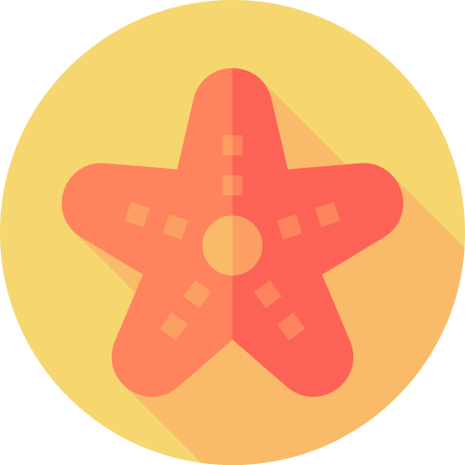 Starfish starfish animals echinoderm icon Starfish starfish animals echinoderm icon