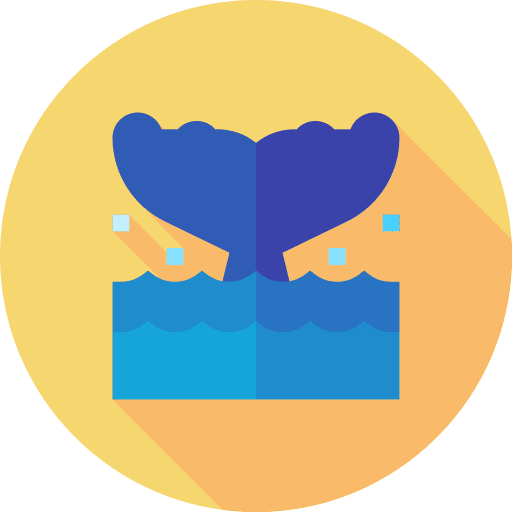 Whale animal kingdom mammal aquatic icon Whale animal kingdom mammal aquatic icon