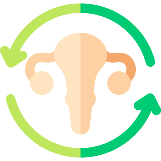 Menstrual cycle menstrual cycle ovary healthcare and medical icon