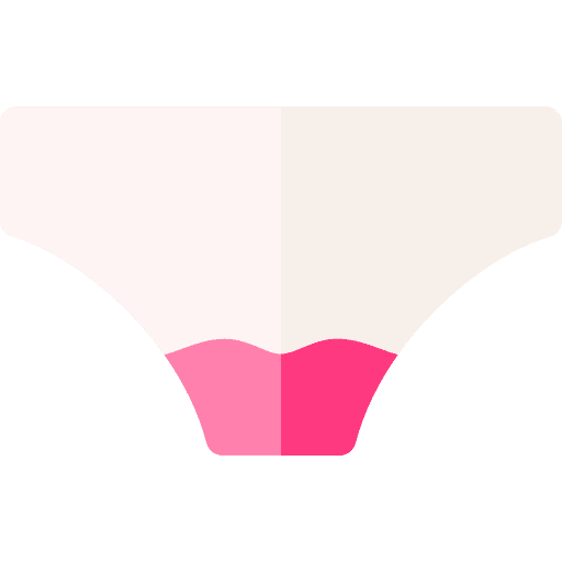 Panties hygiene underpants menstruation icon Panties hygiene underpants menstruation icon