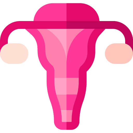 Uterus gynecology reproductive system ovary icon Uterus gynecology reproductive system ovary icon