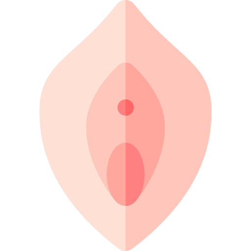 Vagina reproductive system anatomy gynecology icon