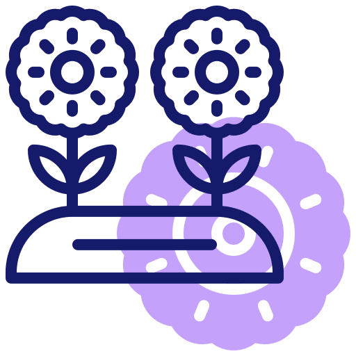 Sunflower nature botanical flower icon Sunflower nature botanical flower icon